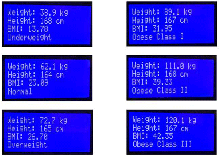 Body Mass Index Scale