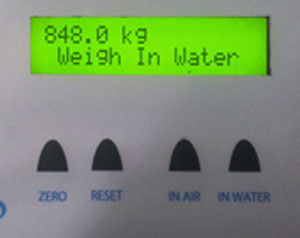 density-scales-advanced-hi-featured-weighing-scales